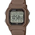 Часы Casio Collection W-800H-5AVDF (W-800H-5A)
